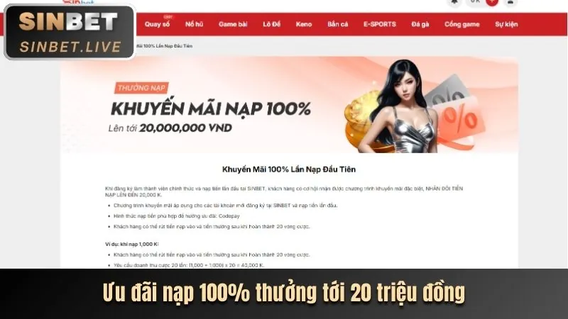 Các chương trình khuyến mãi và ưu đãi tại nohu 90